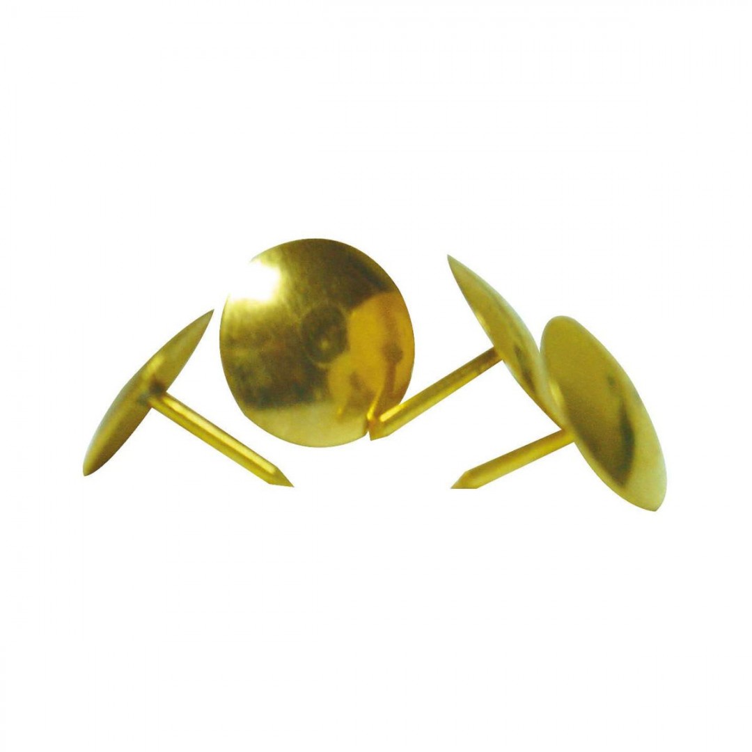 chinches-doradas-x-50-486