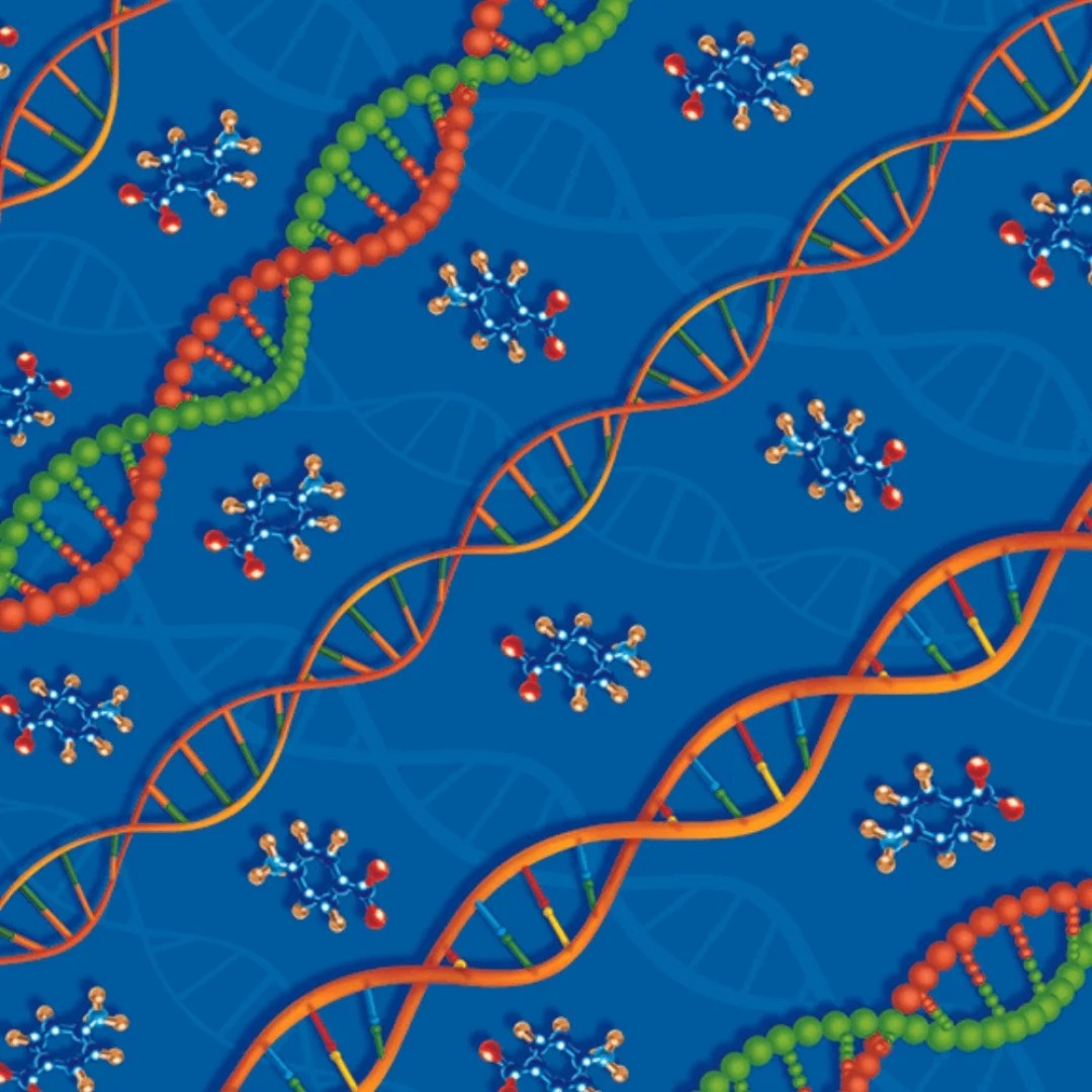 cartulina-entretenida-cuerpo-humano-5794