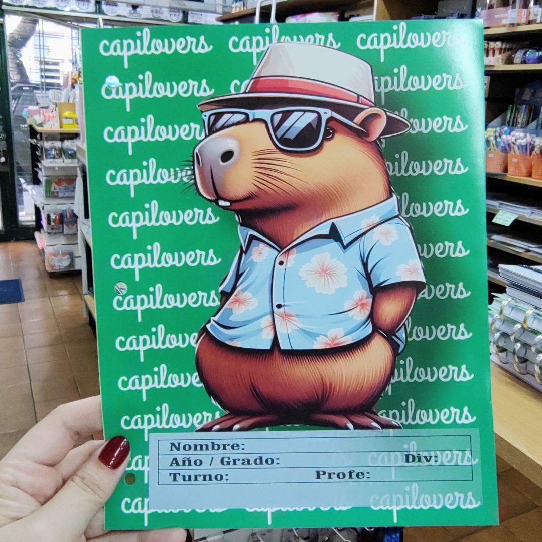 separadores-tamano-carta-carpincho-9513